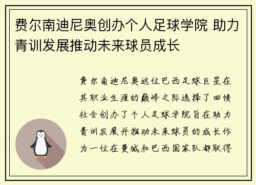 费尔南迪尼奥创办个人足球学院 助力青训发展推动未来球员成长