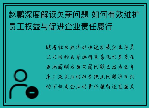 赵鹏深度解读欠薪问题 如何有效维护员工权益与促进企业责任履行